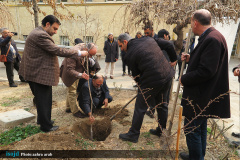 کاشت نهال در دانشگاه‌های هنر و تهران همزمان با روز درخت کاری