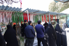 مراسم «زیارت مزار شهدای دانشجوی پیرو خط امام(ره) و شهدای جنگ 12 روزه»