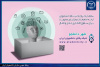 «شهر دانشجو»؛ برنامه‌ای جامع برای توانمندسازی دانشجویان در خراسان جنوبی